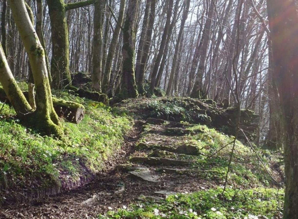 La Chouette Au Bouleau Villa Hargnies Kültér fotó