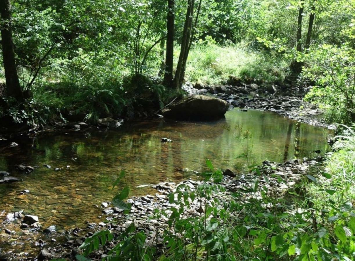 La Chouette Au Bouleau Villa Hargnies Kültér fotó