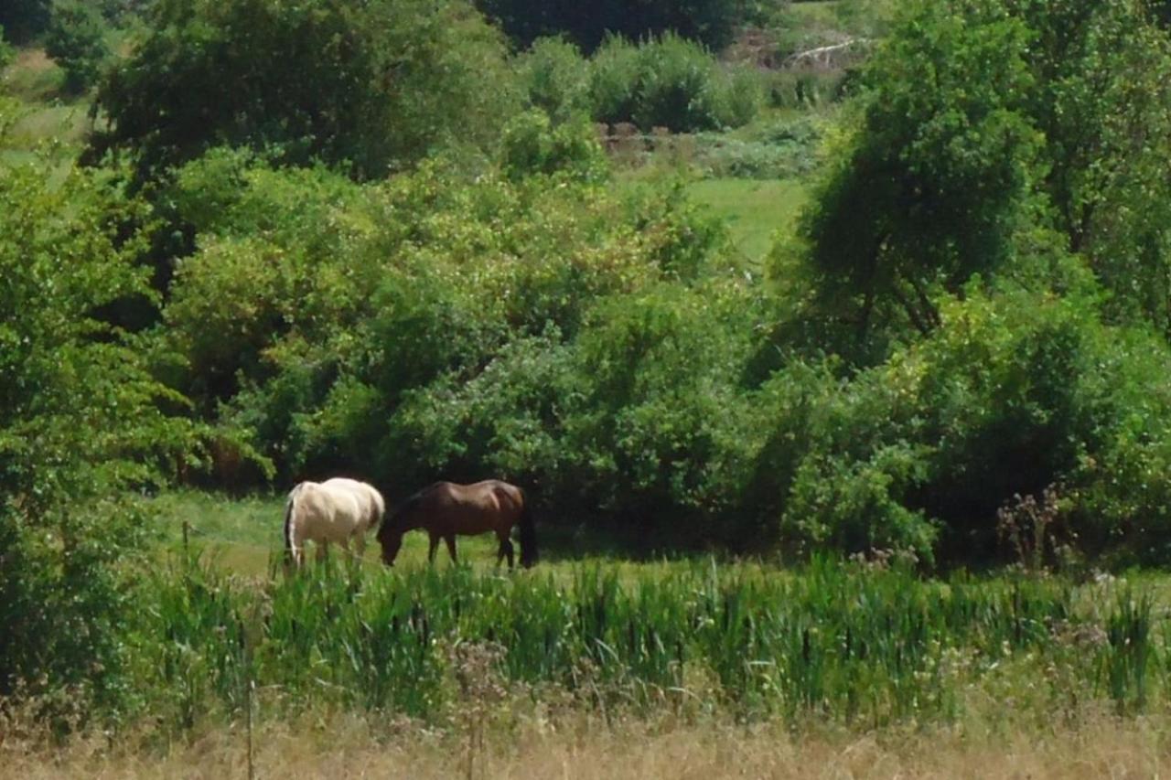 La Chouette Au Bouleau Villa Hargnies Kültér fotó